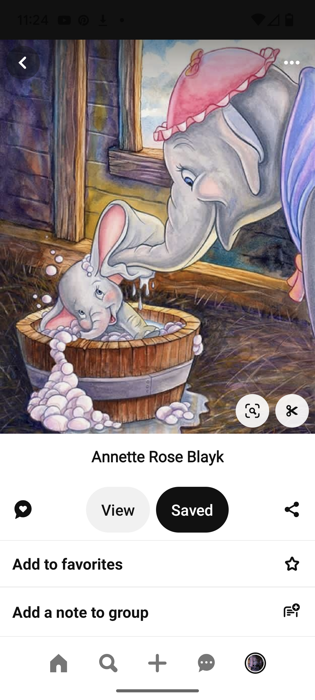 ./20240627-232434 - Pinterest - 'Dumbo' the elephant washed by Mom labeled 'Annette Rose Blayk'.png